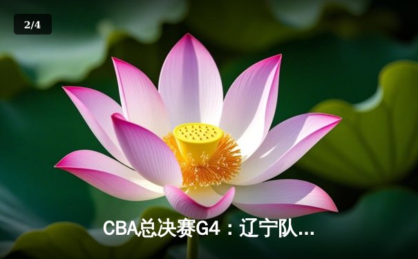 CBA总决赛G4：辽宁队加时险胜广东队，赵继伟砍下33分率队夺赛点 - 2
