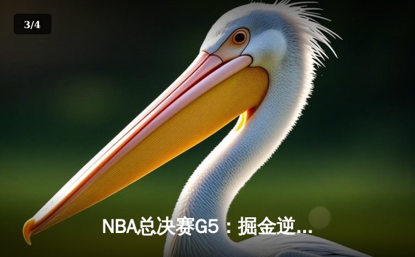 NBA总决赛G5：掘金逆转绝杀热火，约基奇三双率队夺赛点 - 3